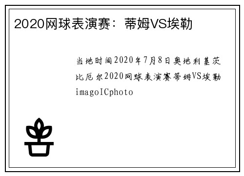 2020网球表演赛：蒂姆VS埃勒